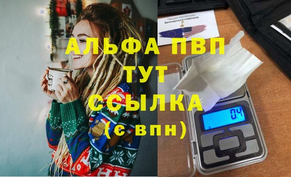 стафф Алексин