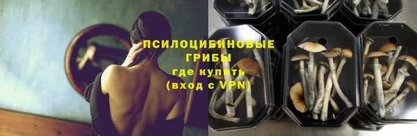 стафф Алексин