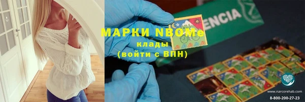стафф Алексин