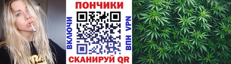 Канабис ГИДРОПОН  Красноярск 